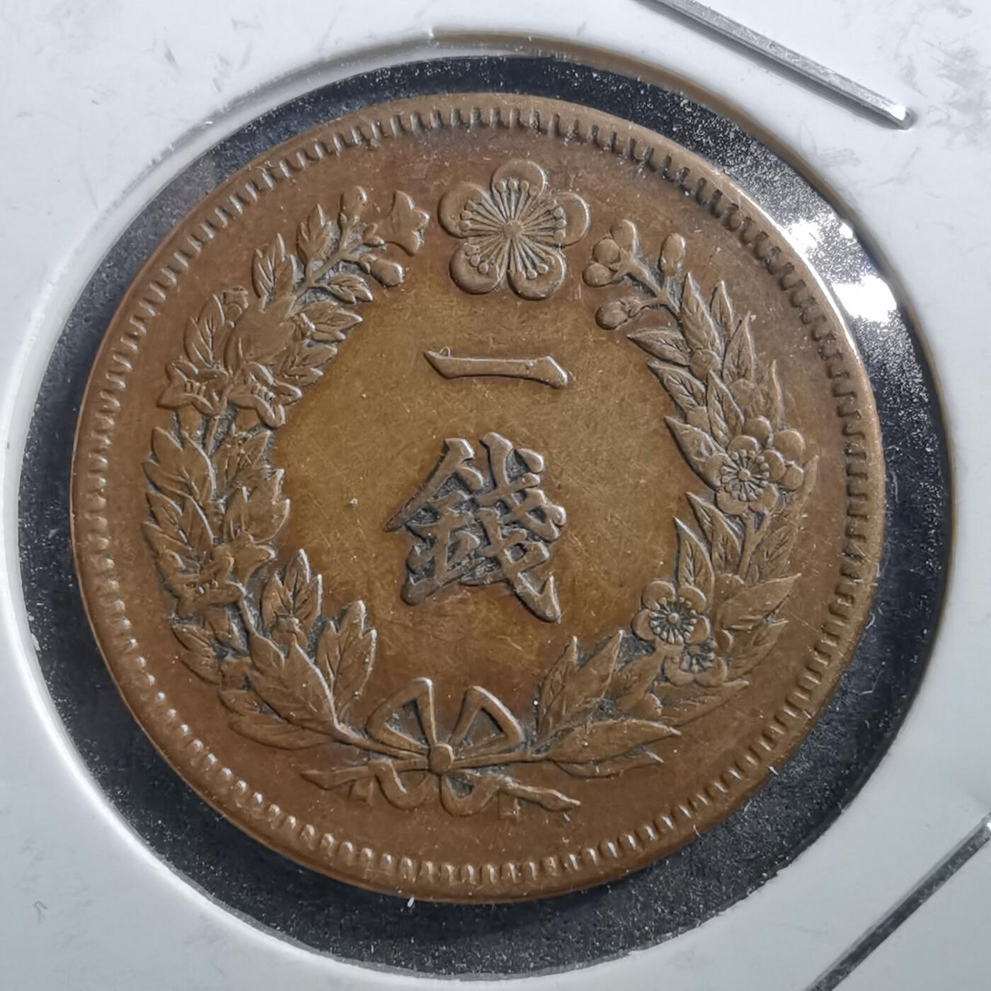 沼泽如烟--第705场