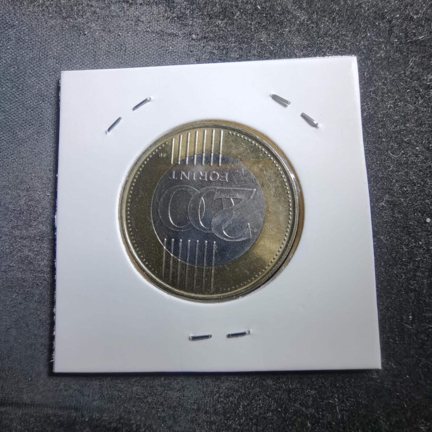 沼泽如烟--第705场