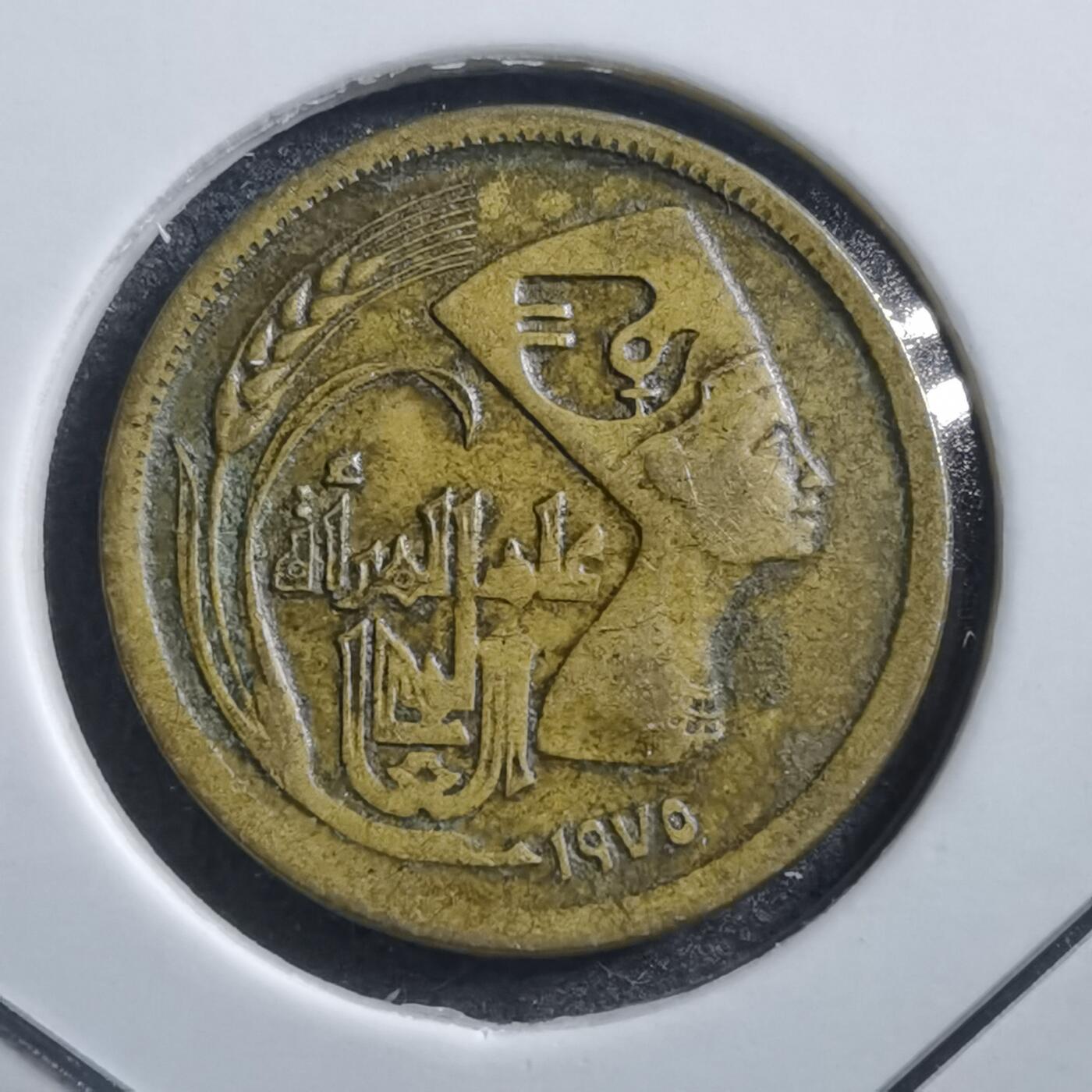 沼泽如烟--第705场