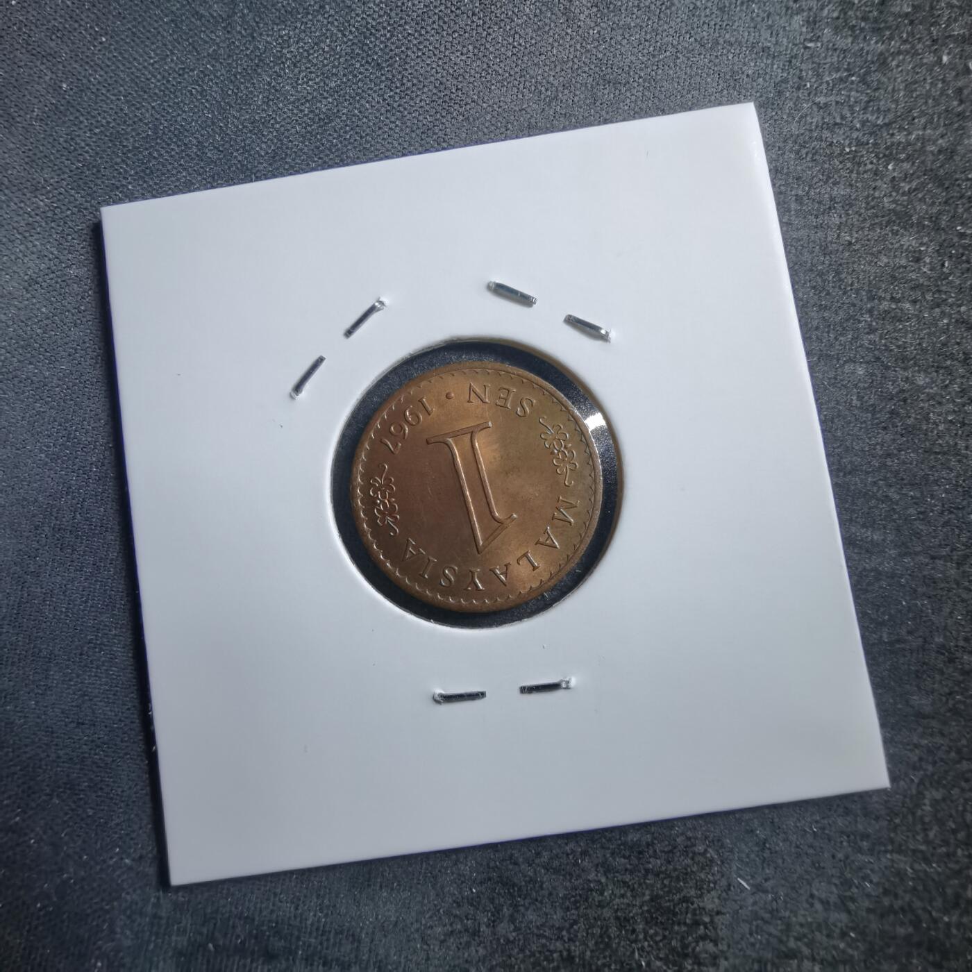 沼泽如烟--第705场