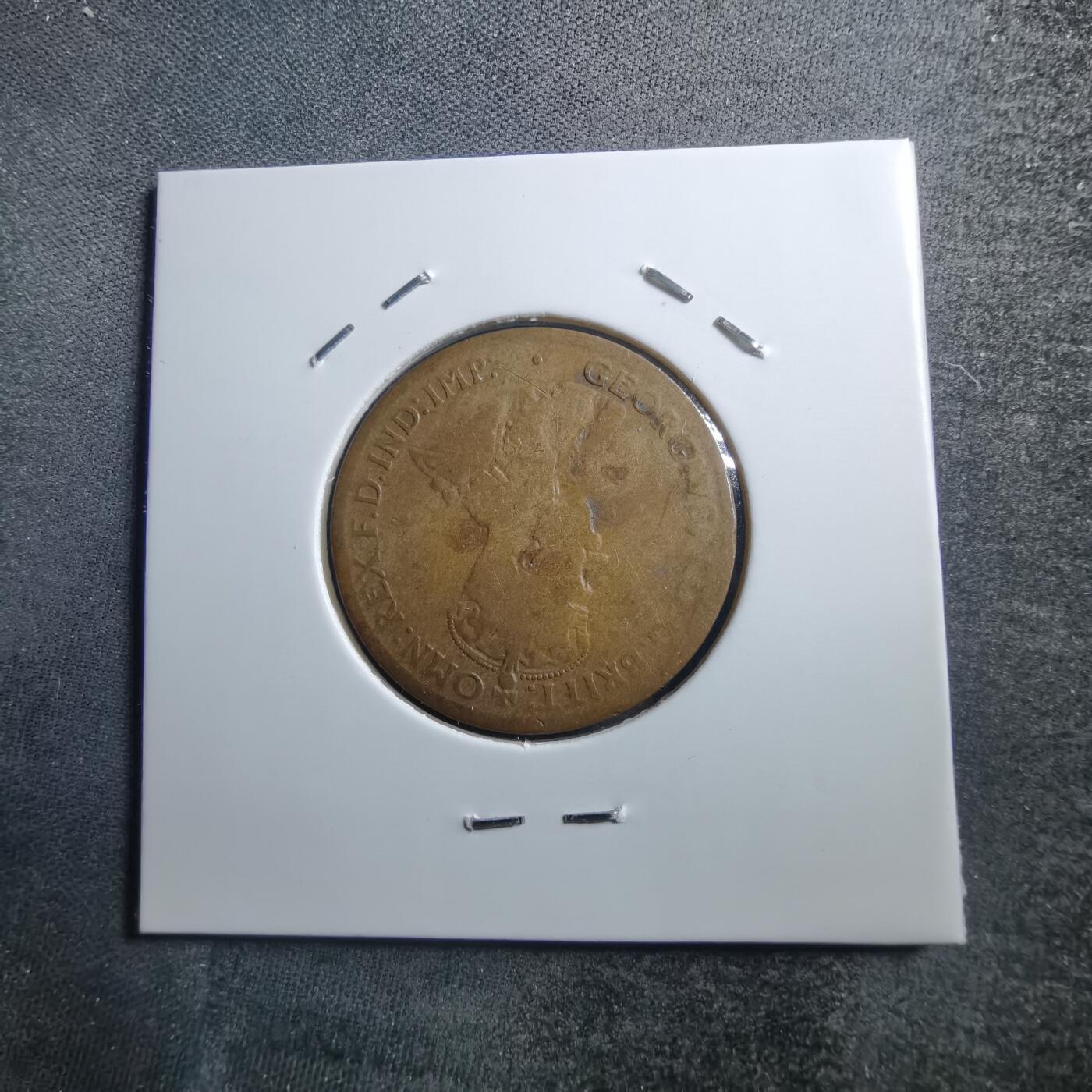 沼泽如烟--第705场