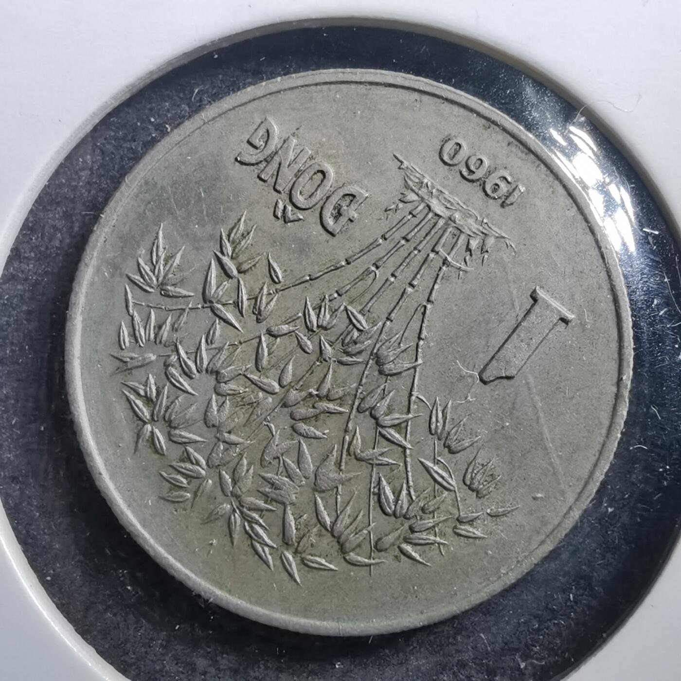 沼泽如烟--第705场