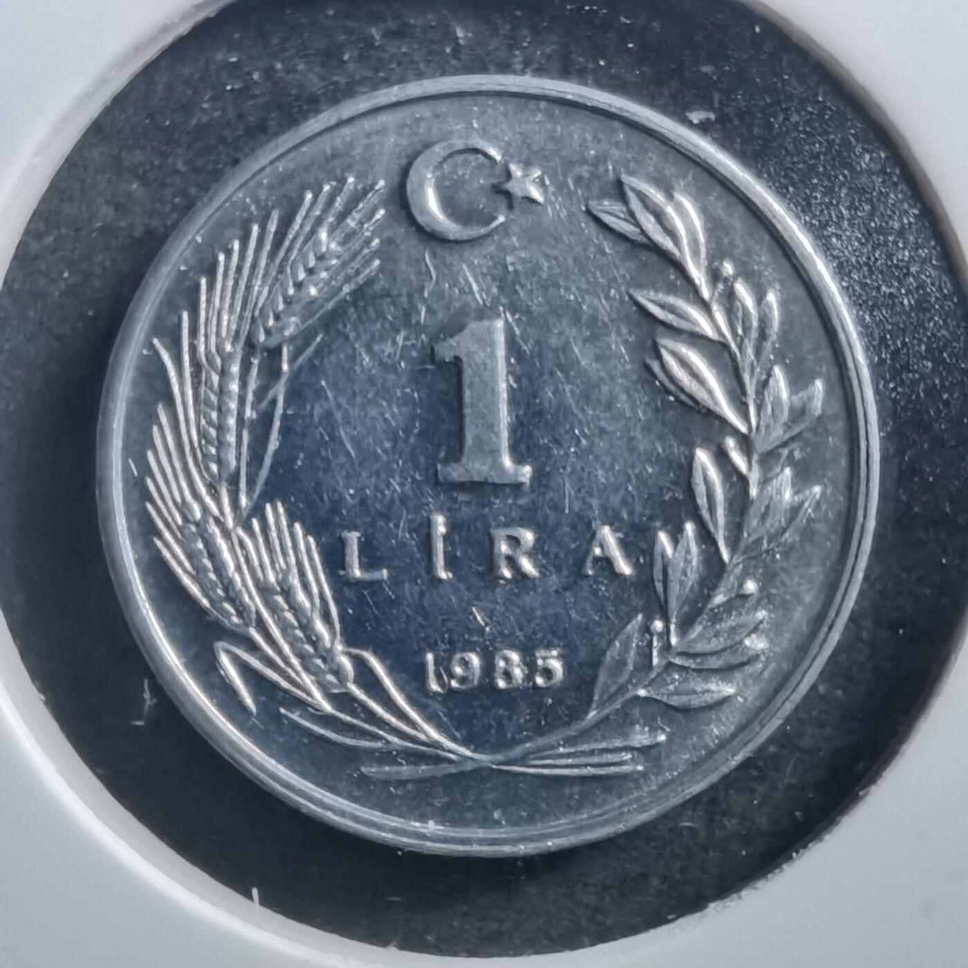 沼泽如烟--第707场