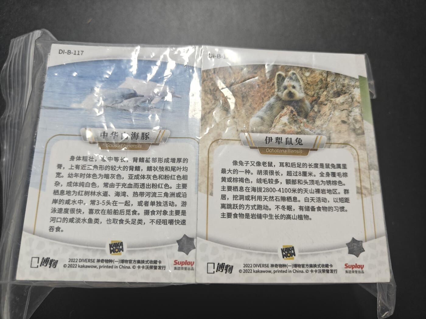 天玑星卡拍第八十五期《搬新地址了哟》持续收拍收评中 满赠三娘需备注小马三娘即将送完 卡卡沃 神奇物种 一套