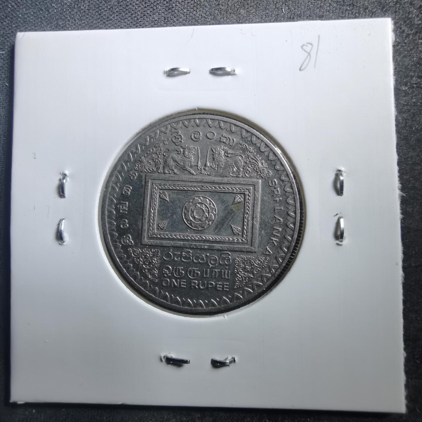 沼泽如烟--第707场