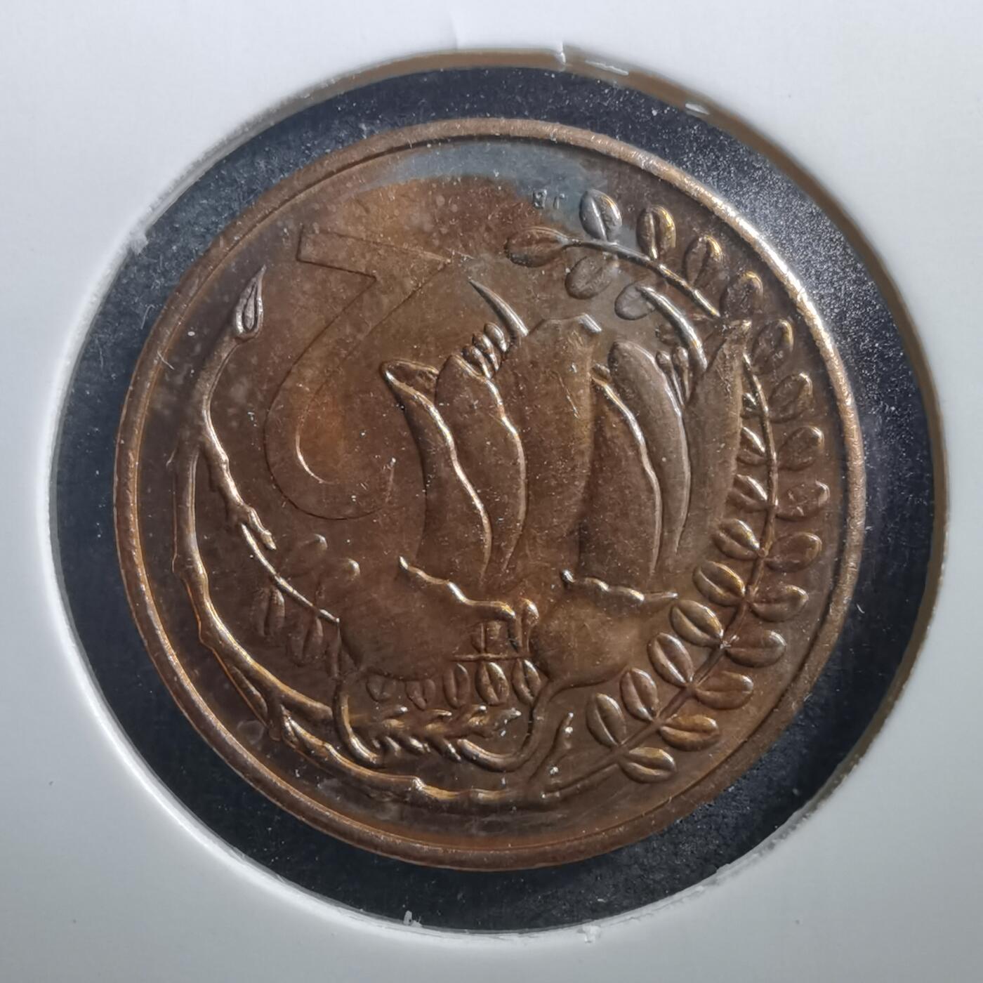 沼泽如烟--第707场