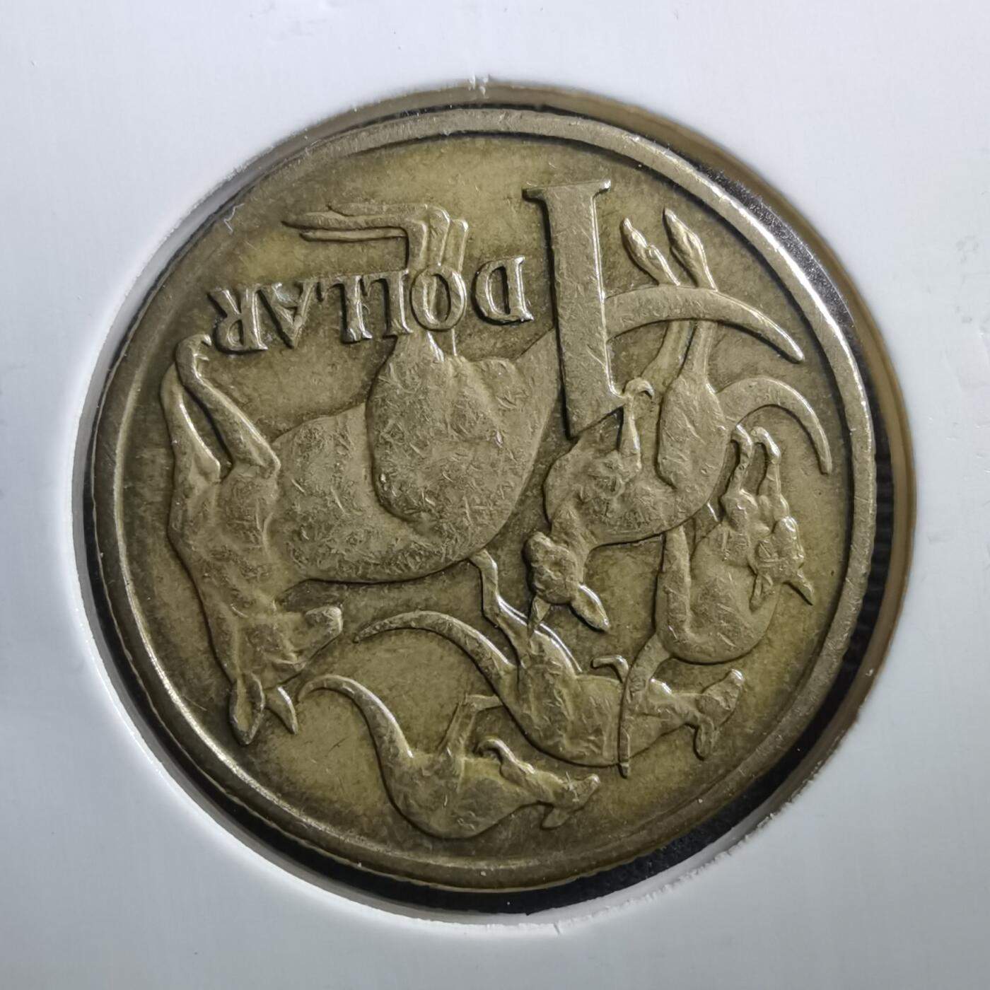 沼泽如烟--第707场