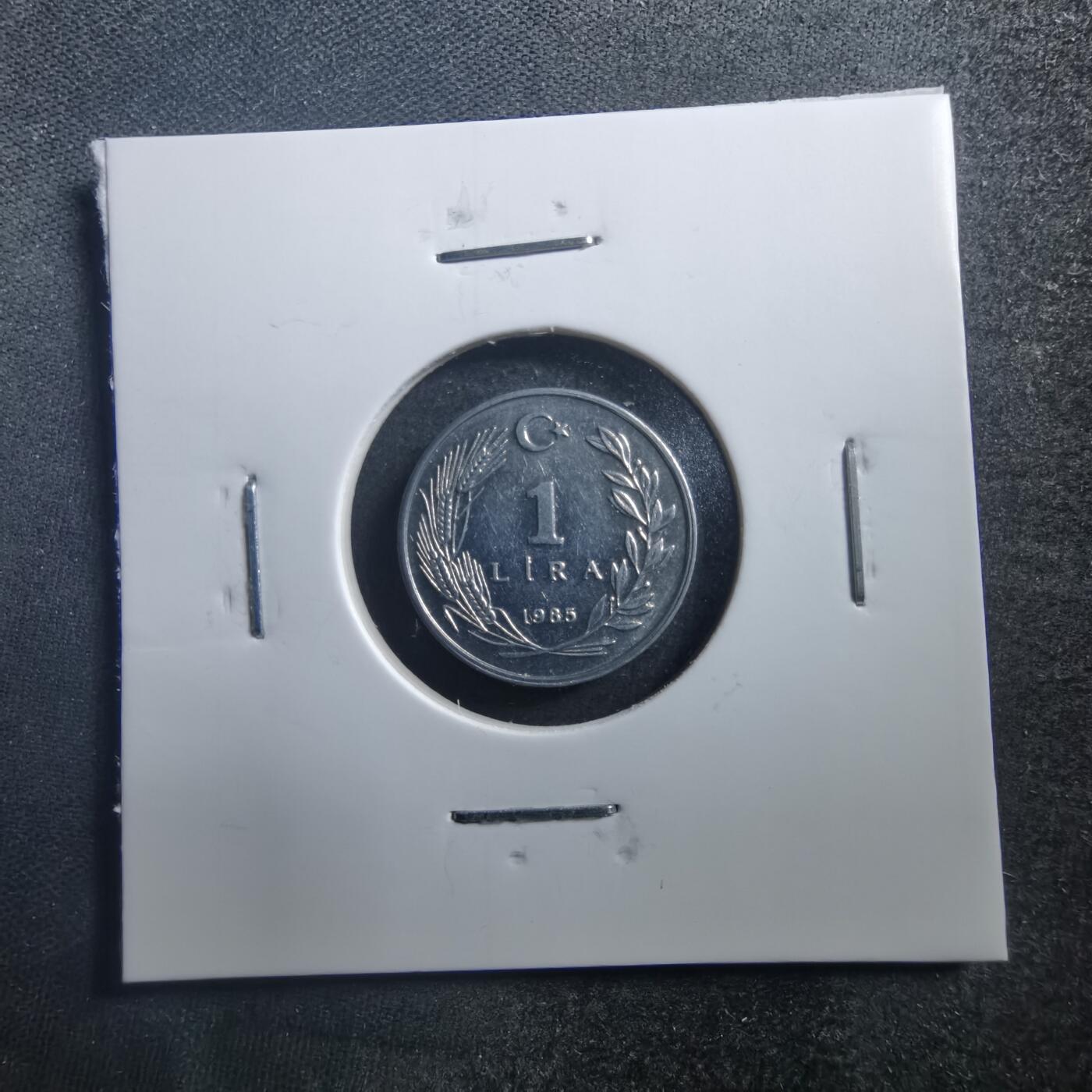 沼泽如烟--第707场