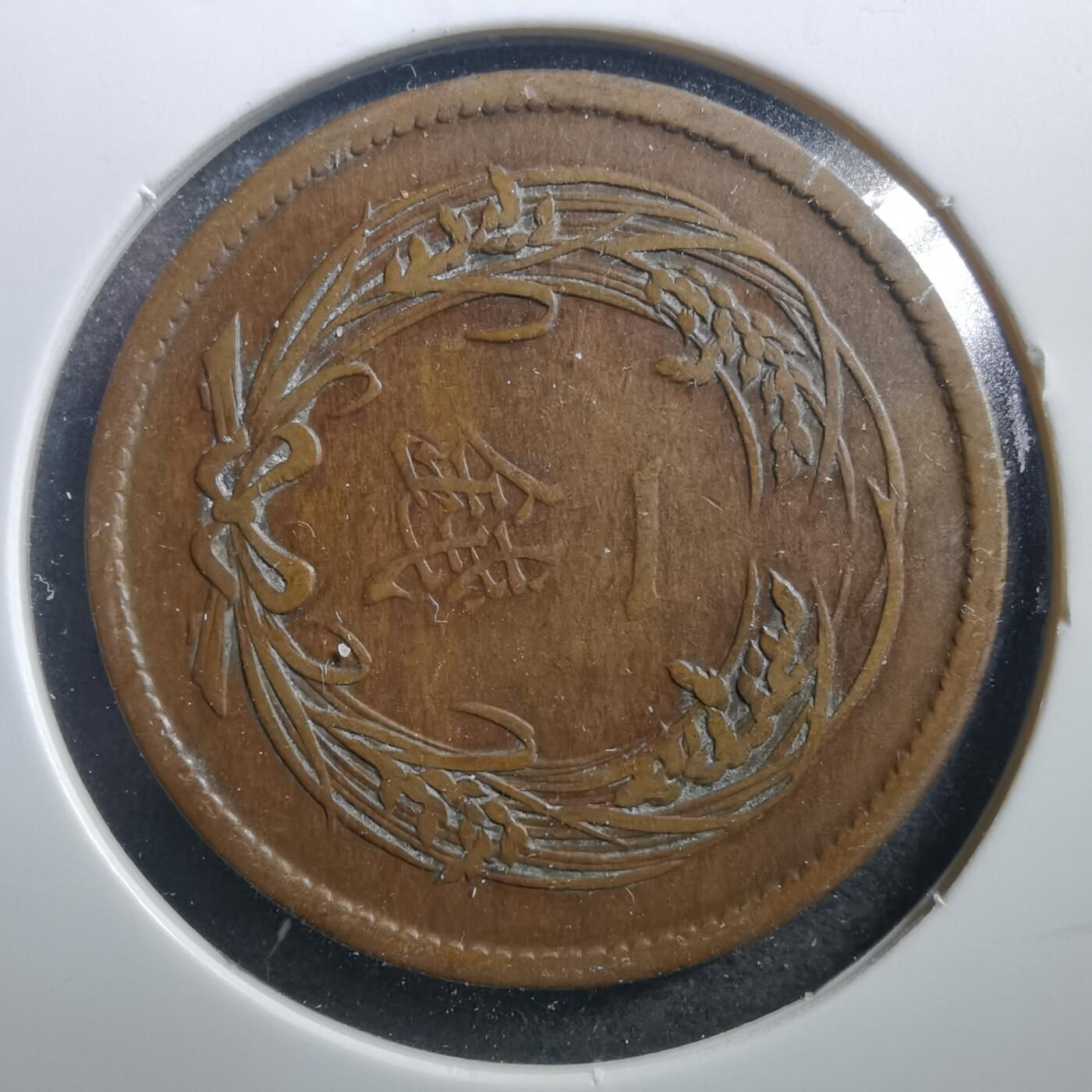 沼泽如烟--第707场