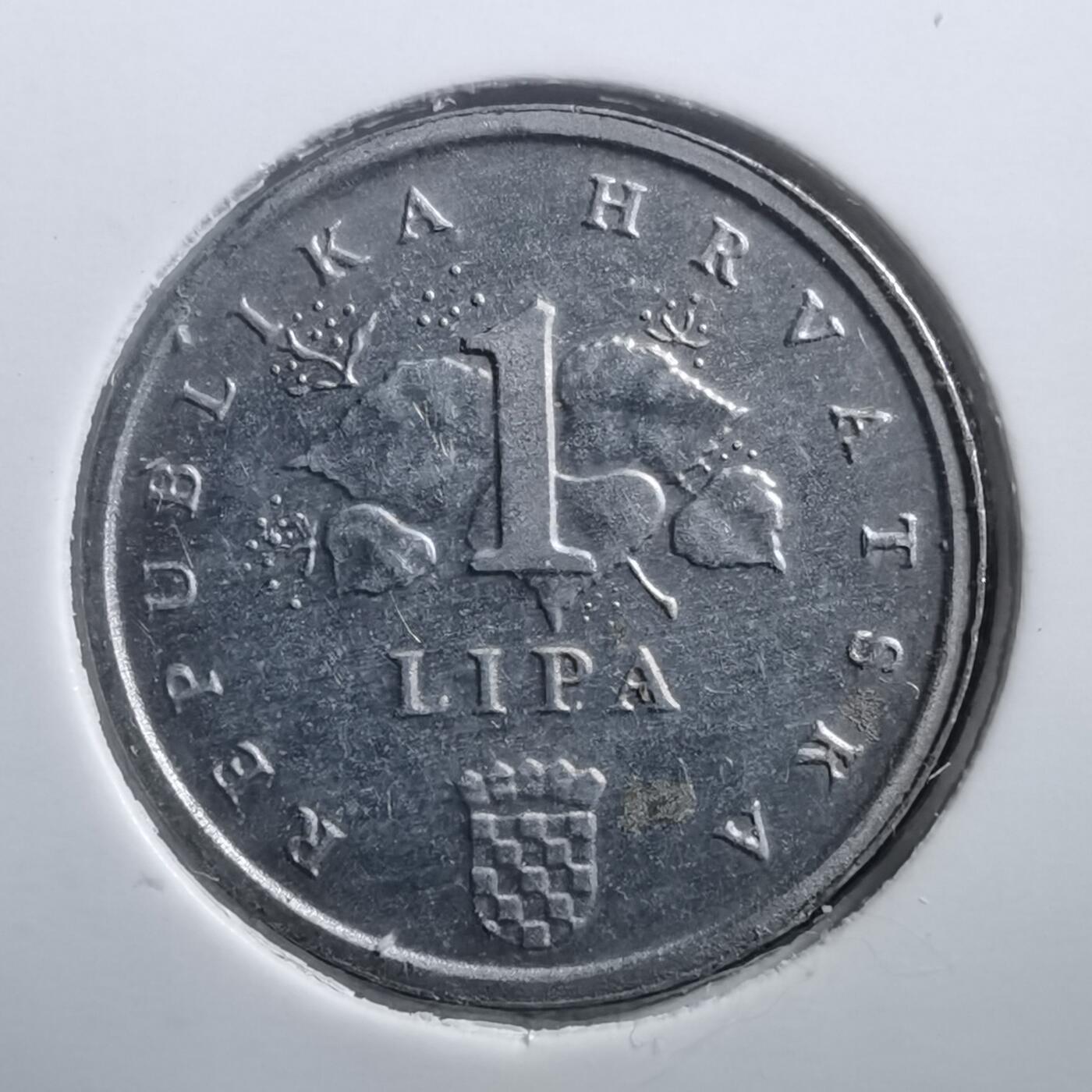 沼泽如烟--第707场