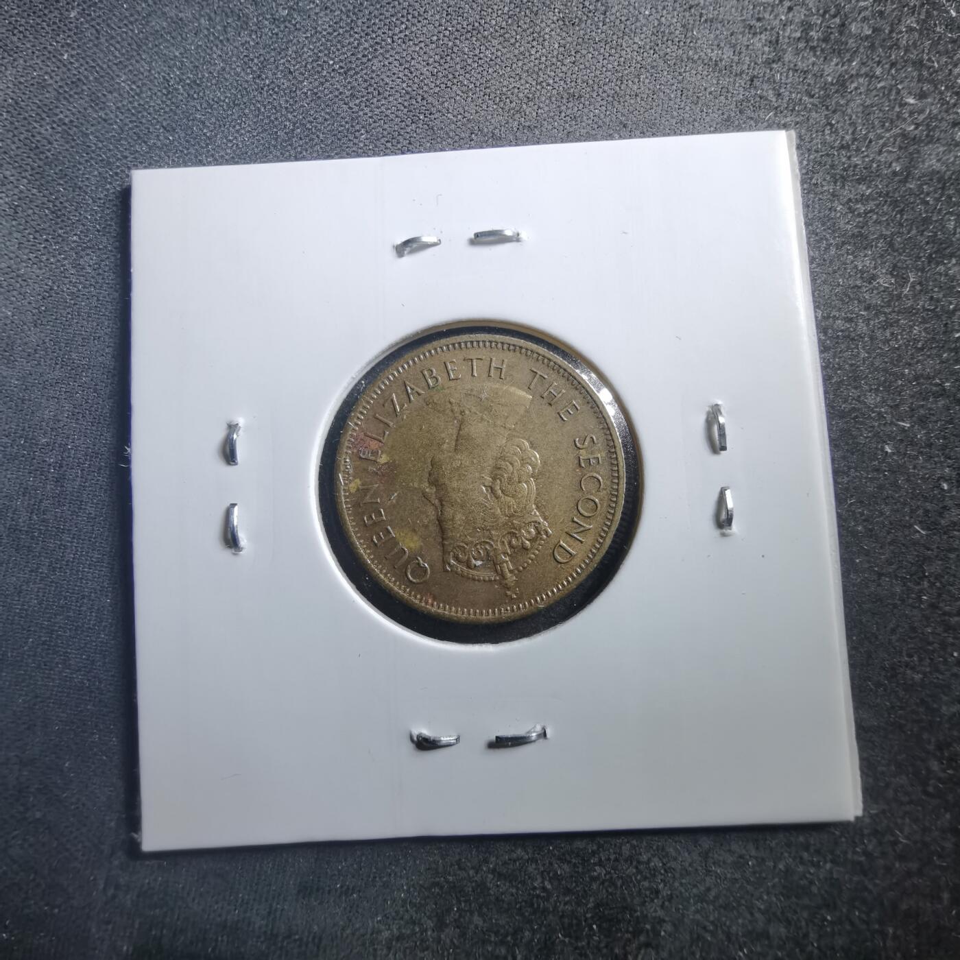 沼泽如烟--第707场