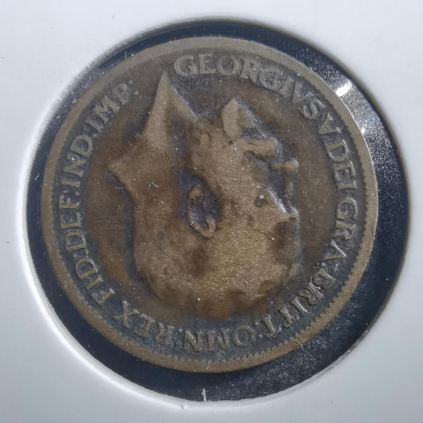 沼泽如烟--第707场