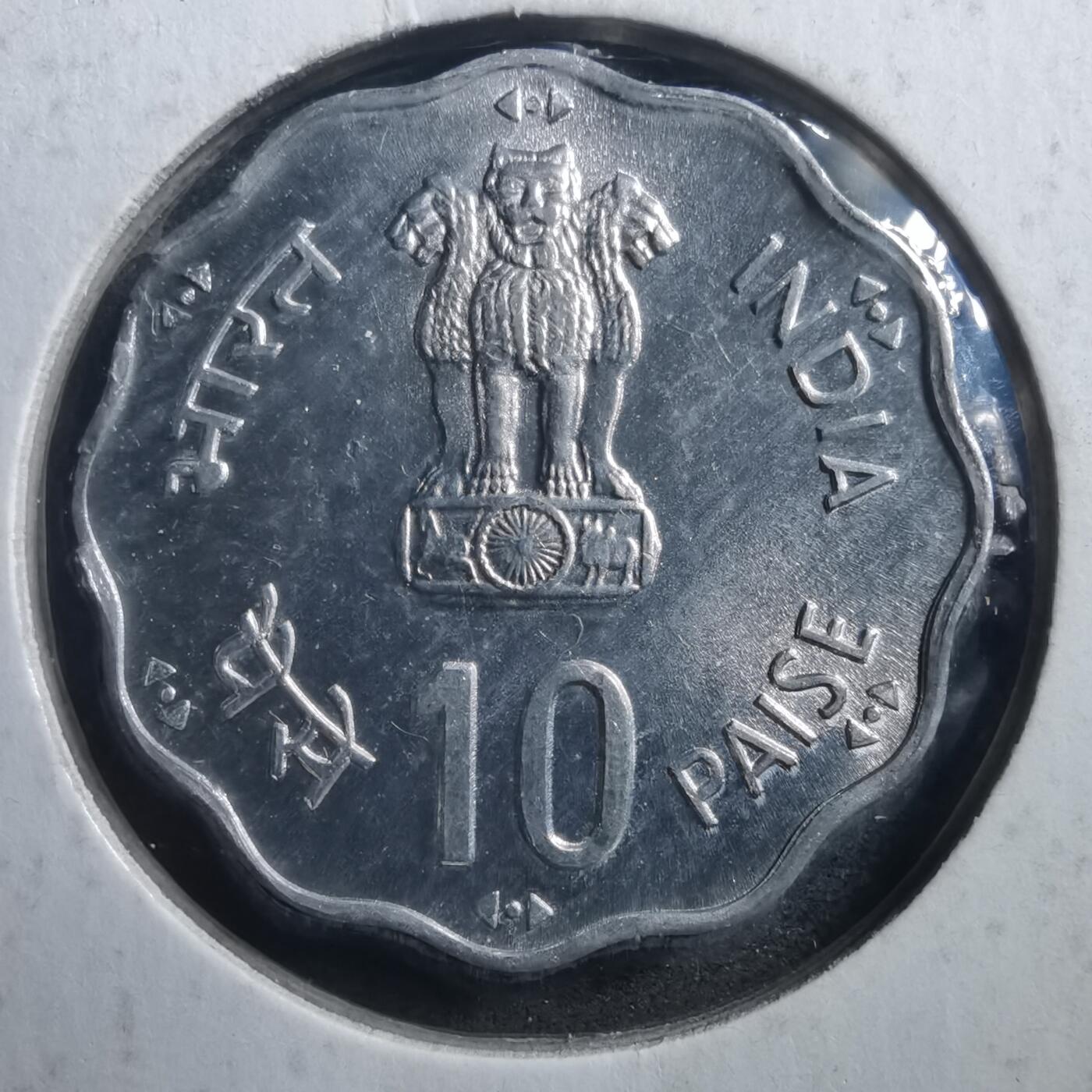 沼泽如烟--第707场