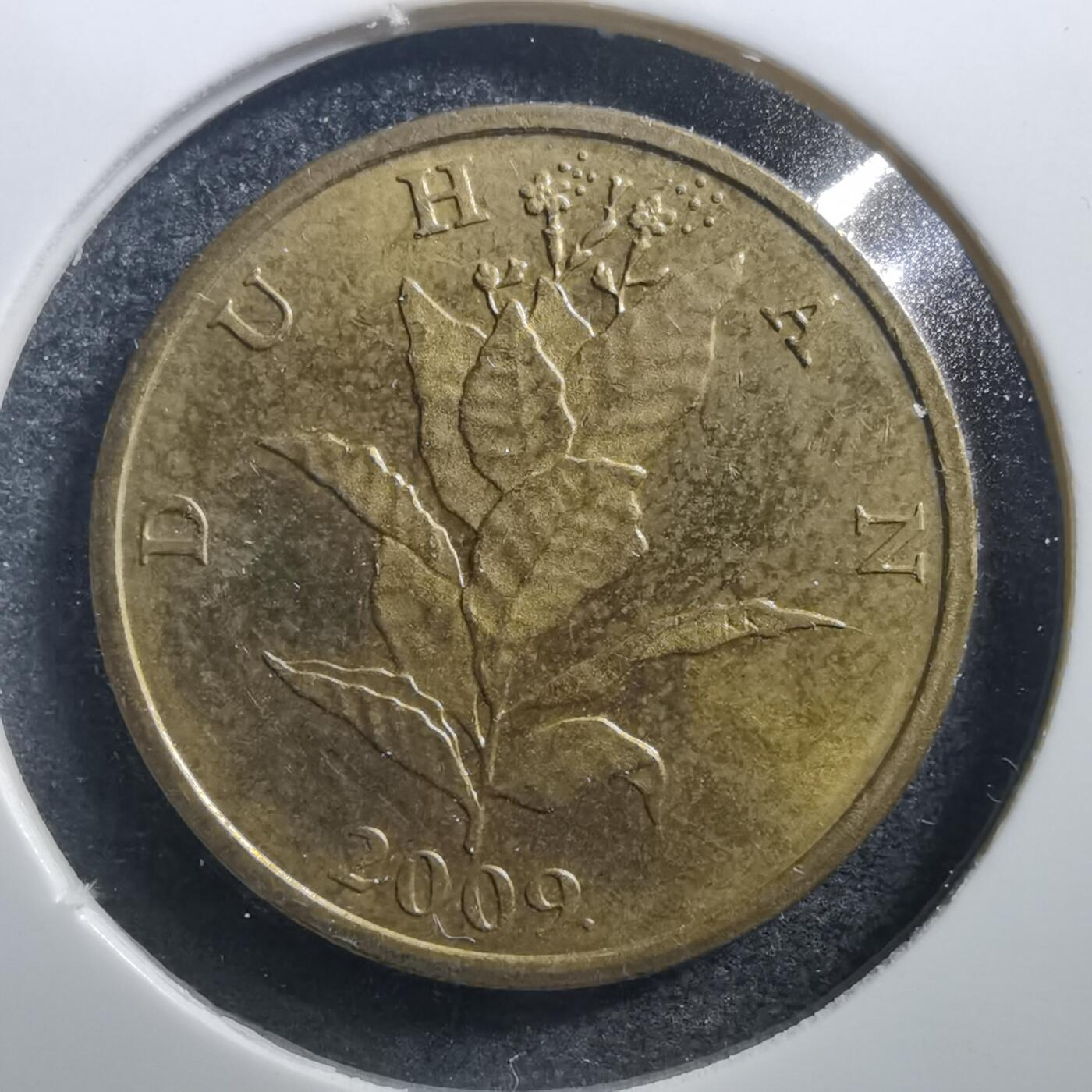 沼泽如烟--第707场