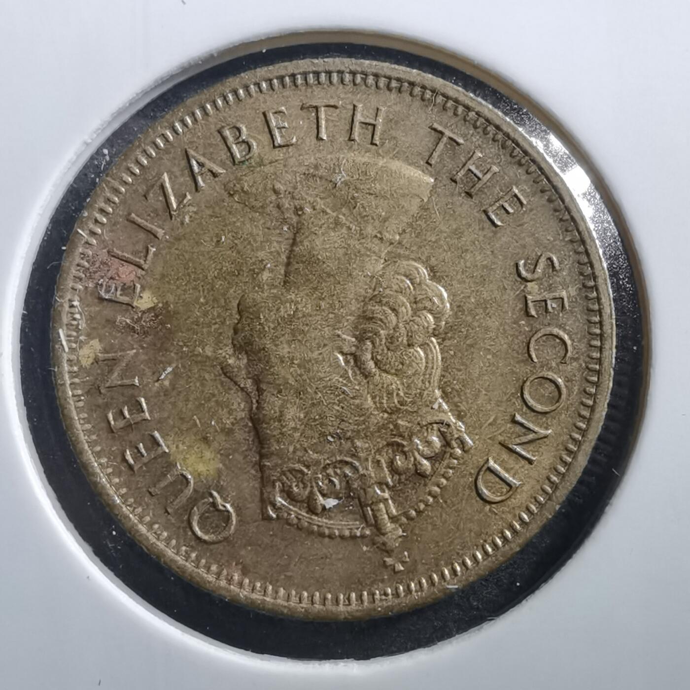 沼泽如烟--第707场