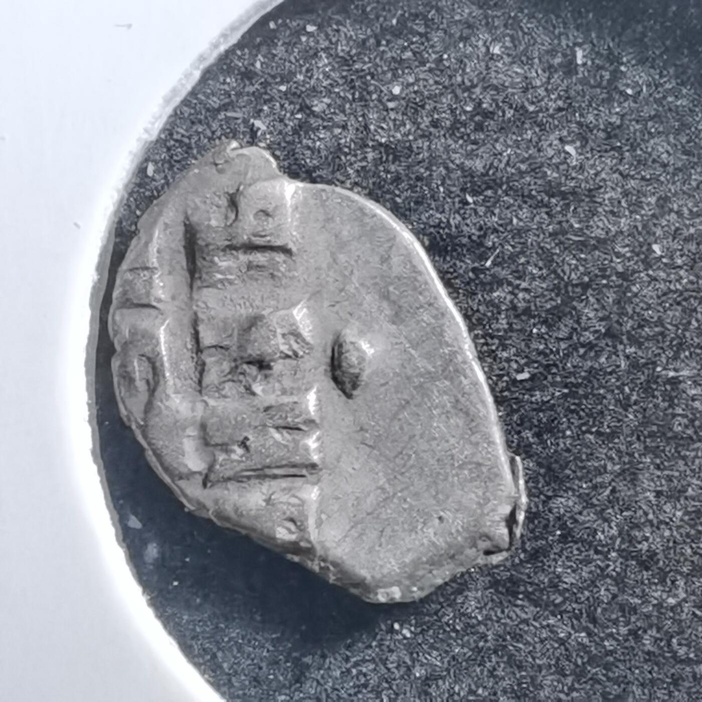 沼泽如烟--第707场