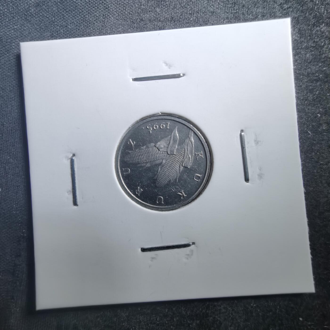 沼泽如烟--第707场