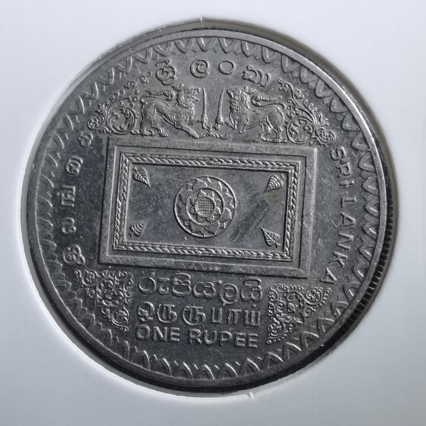 沼泽如烟--第707场