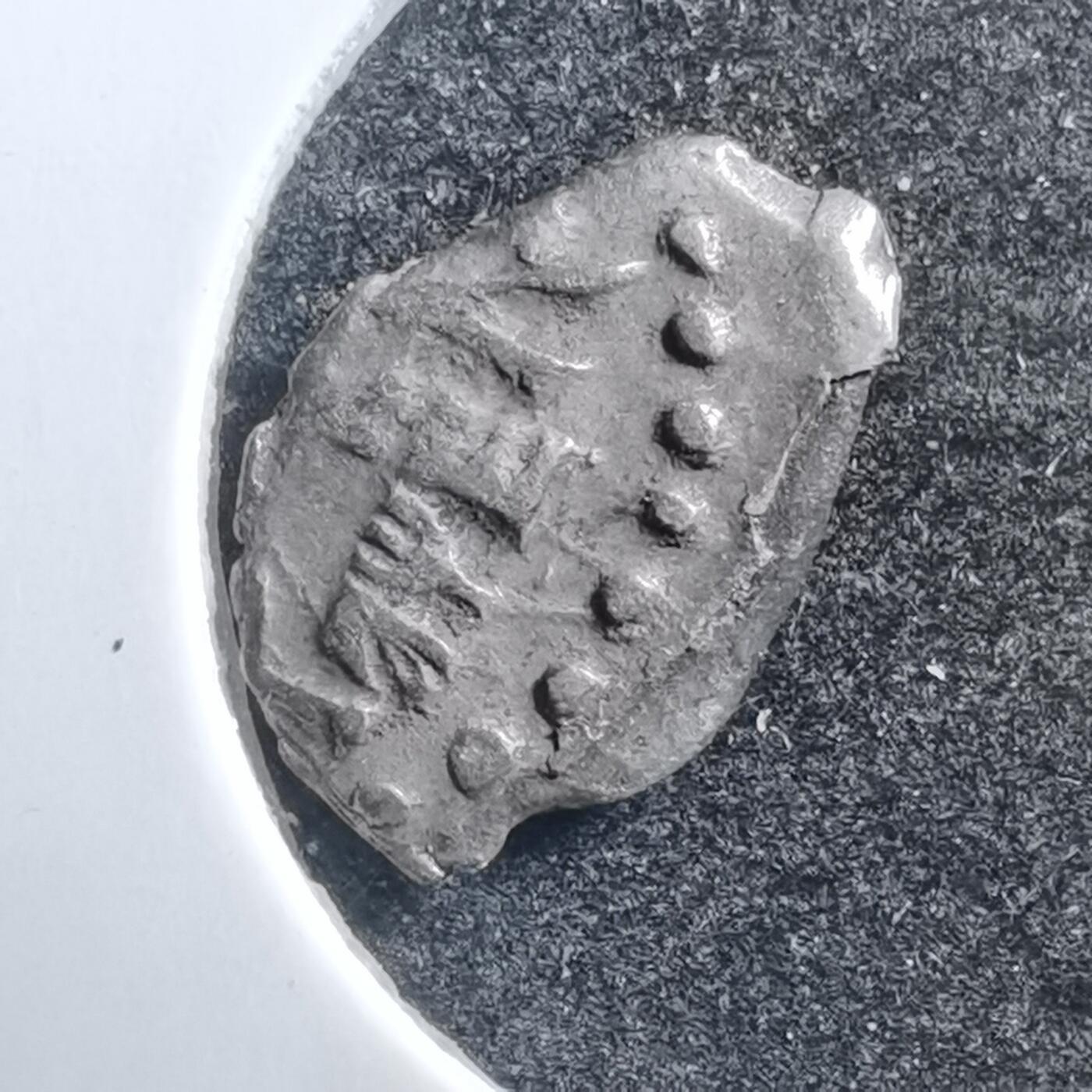 沼泽如烟--第707场