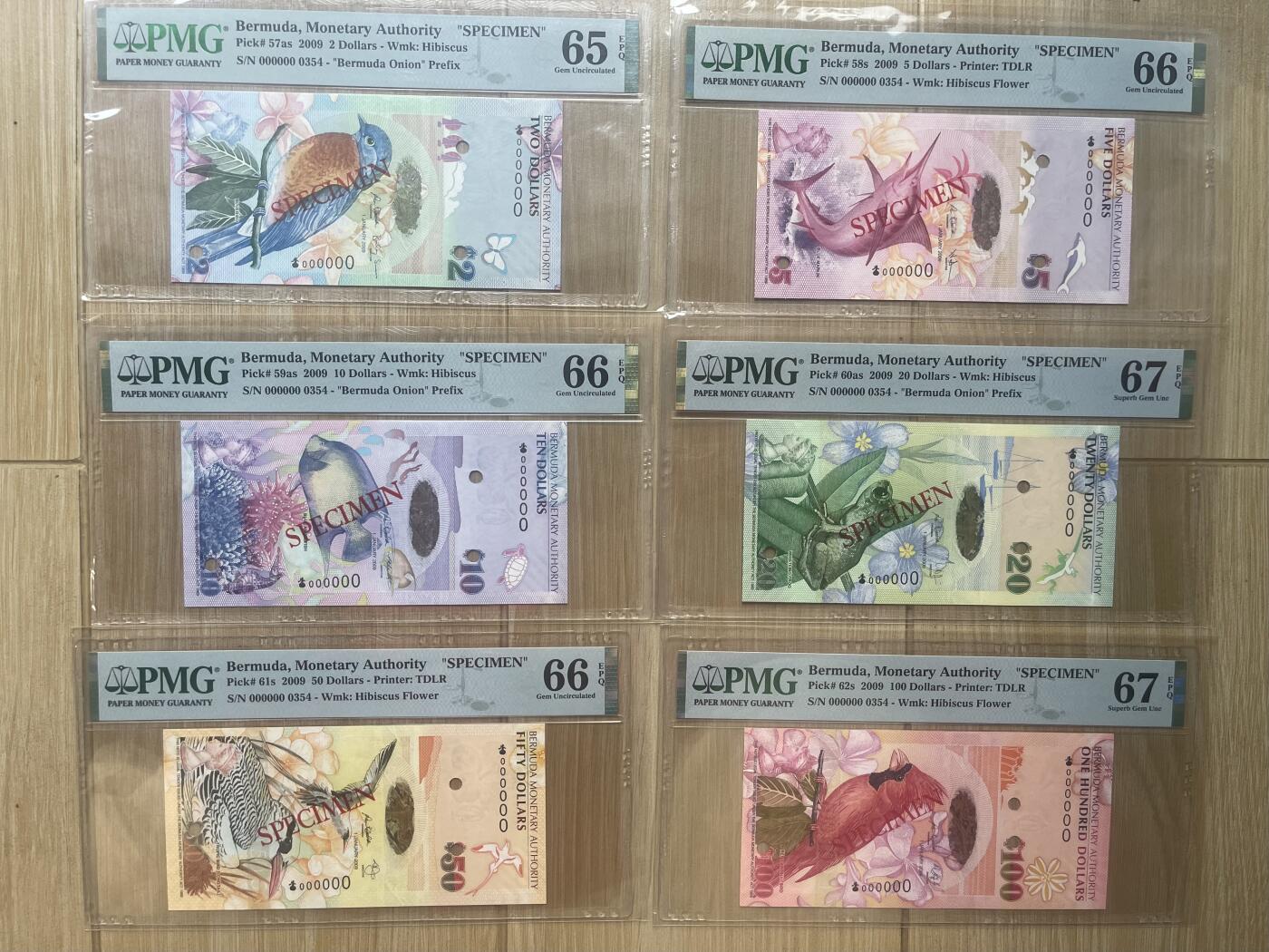 PMG百慕大2009年洋葱冠全同号 样钞 稀有收藏品