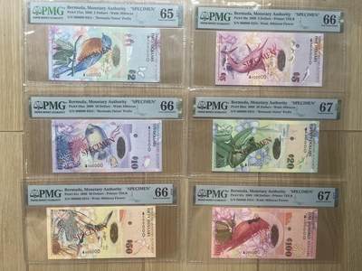 PMG百慕大2009年洋葱冠全同号 样钞 稀有收藏品 - PMG百慕大2009年洋葱冠全同号 样钞 稀有收藏品