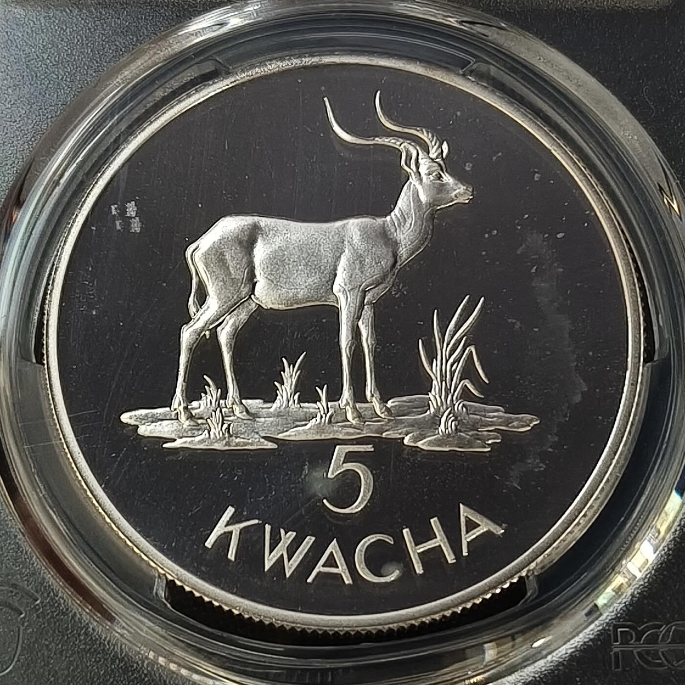 0起1加再包邮-纯粹捡漏拍-426套币银币场