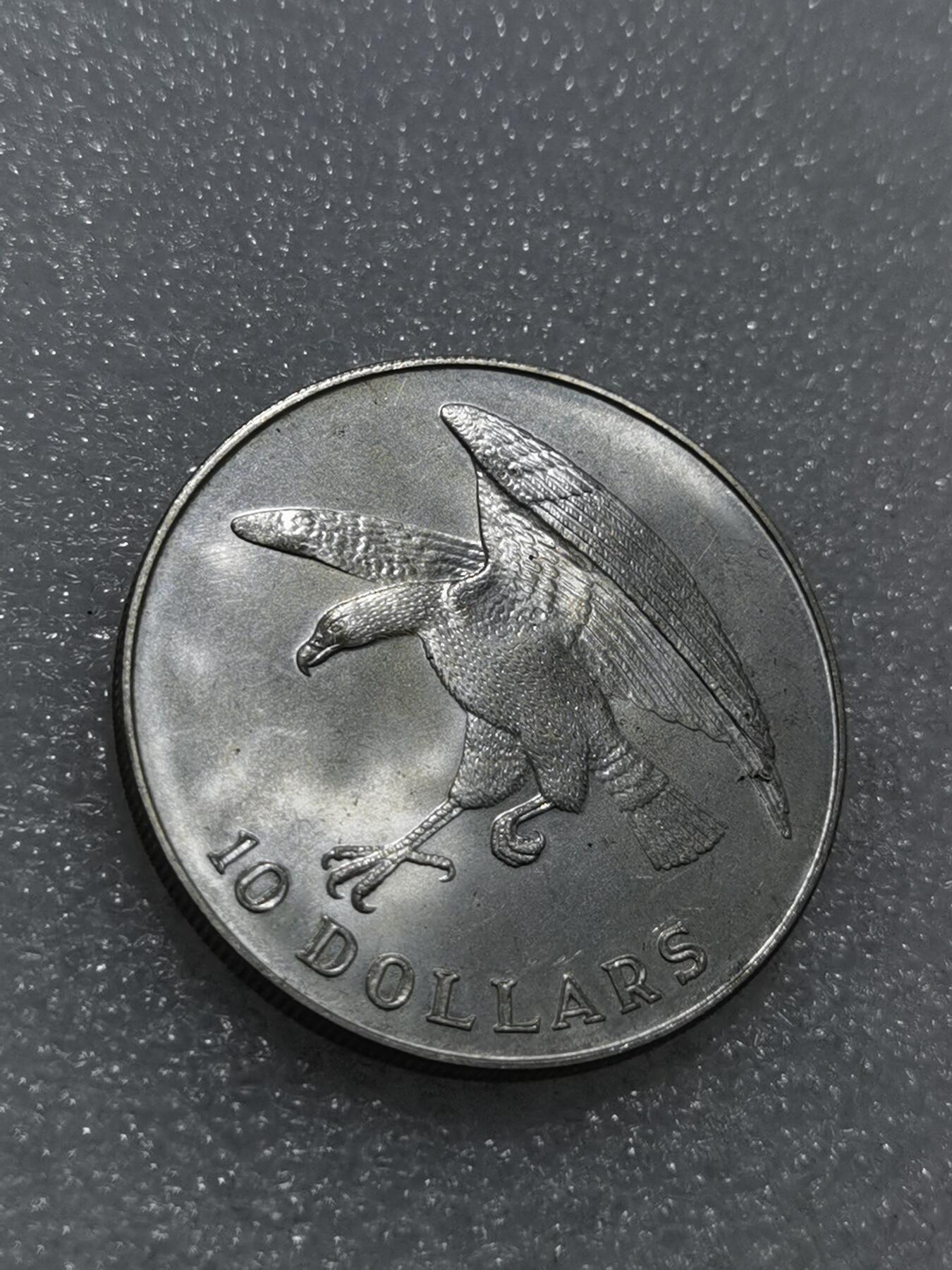 天下钱庄专场欢迎参拍