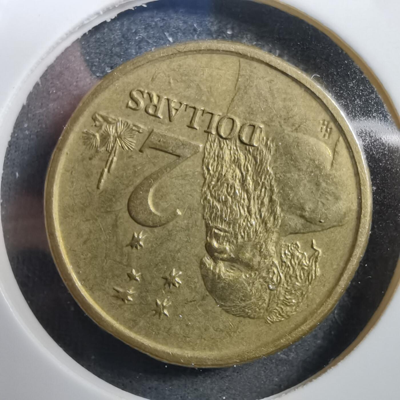 沼泽如烟--第708场