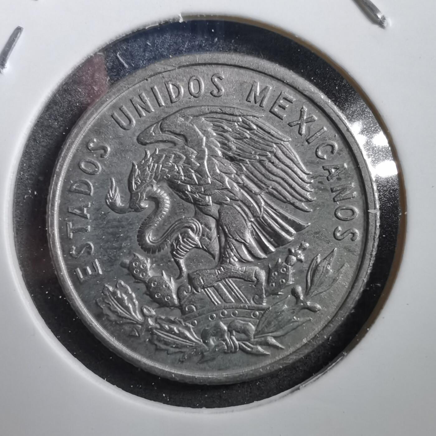 沼泽如烟--第708场