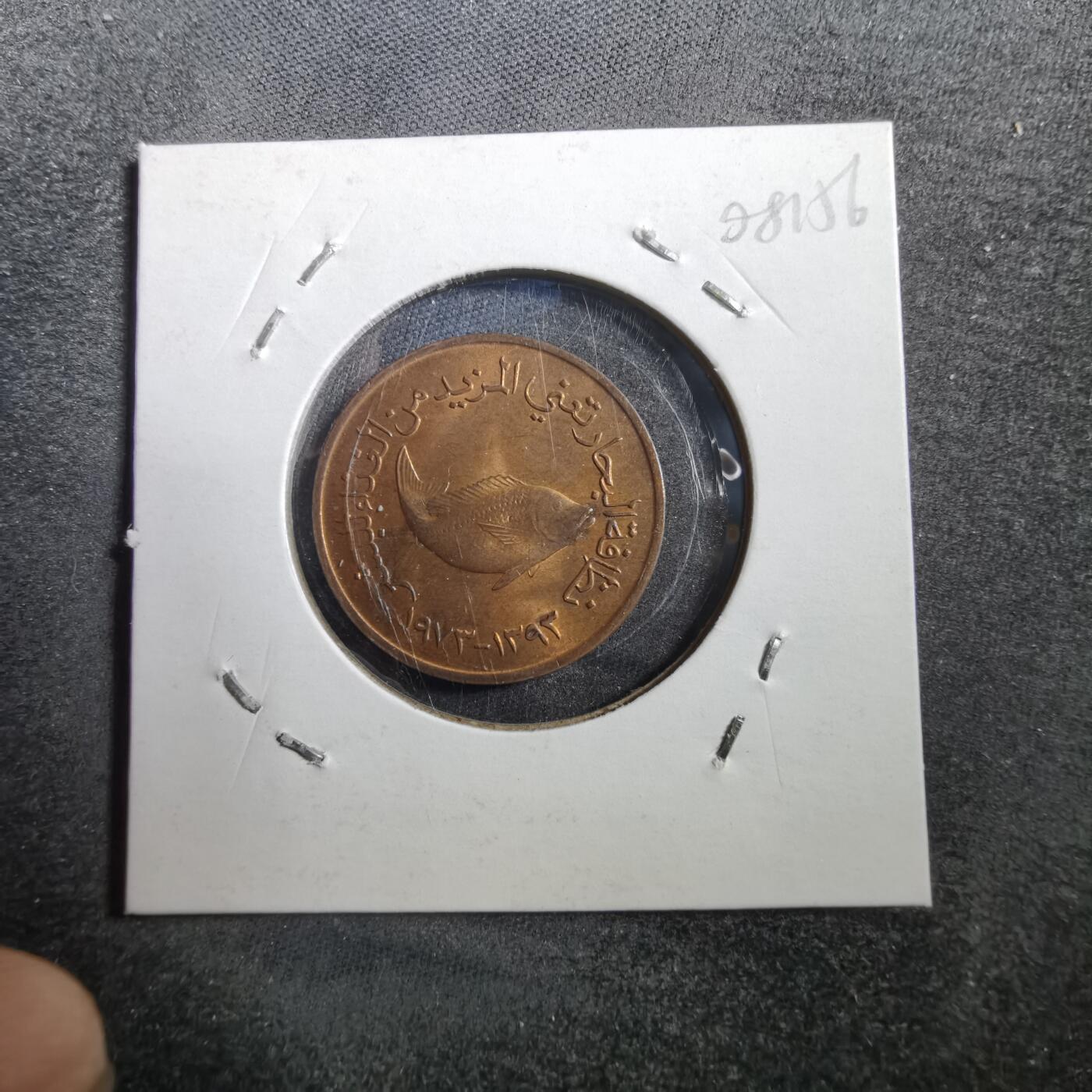 沼泽如烟--第708场