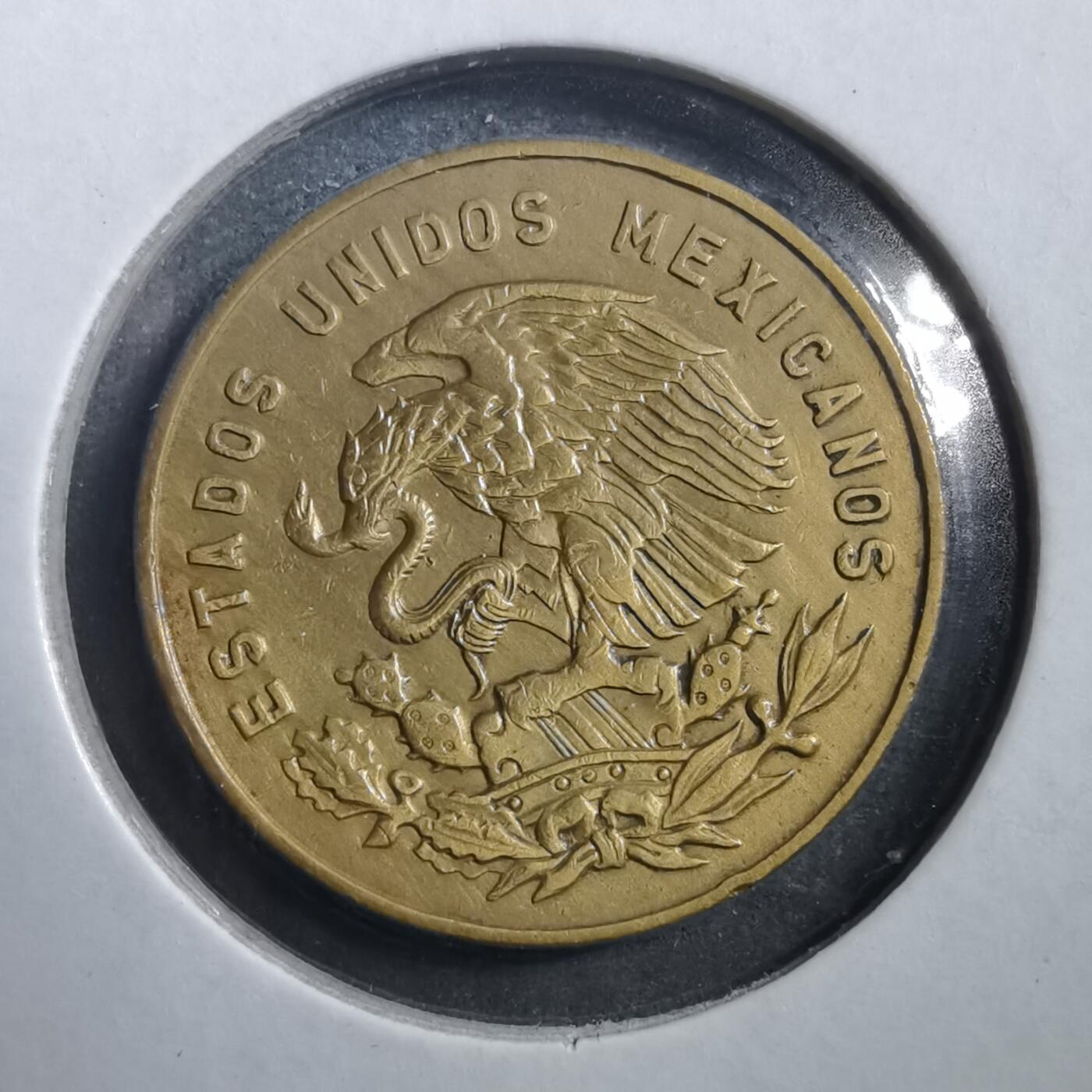 沼泽如烟--第708场