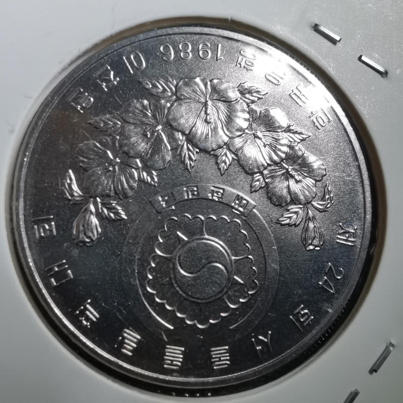 沼泽如烟--第708场