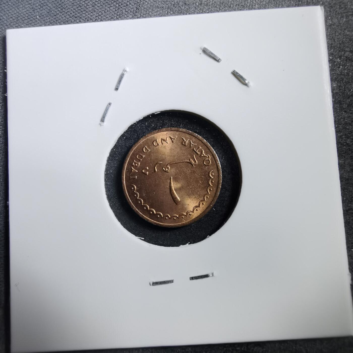 沼泽如烟--第708场