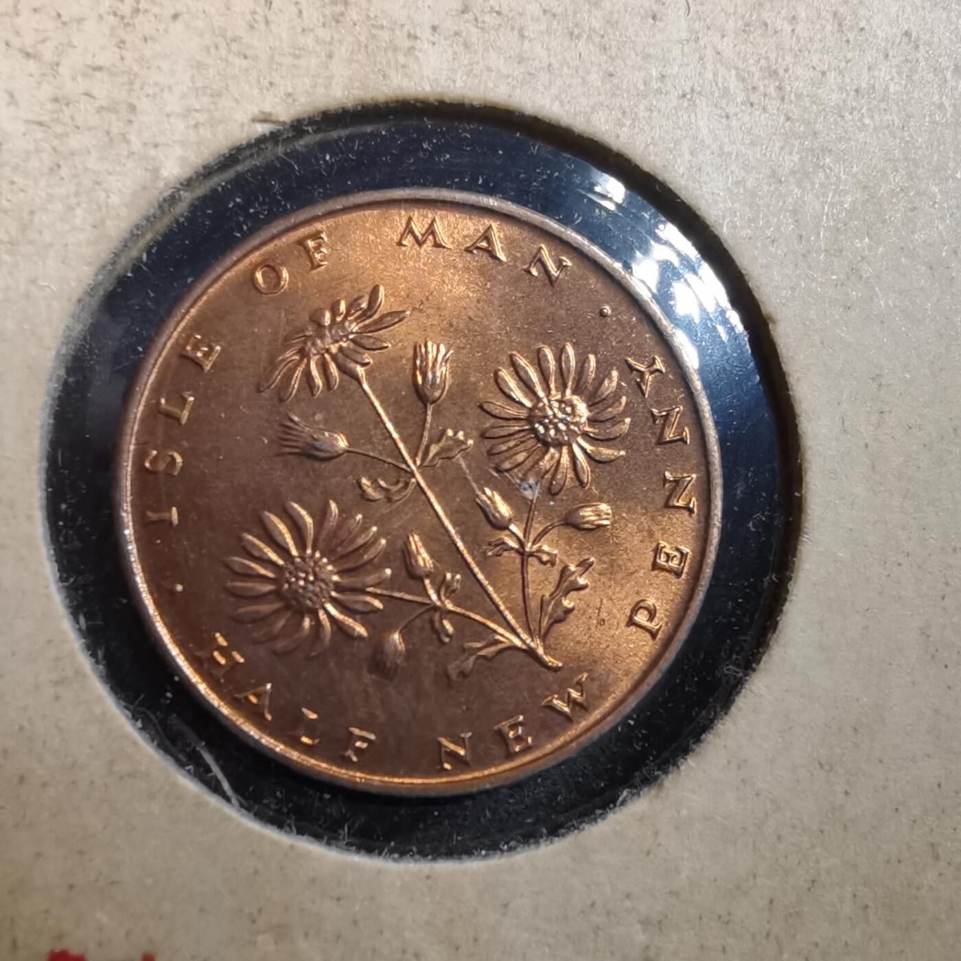 沼泽如烟--第708场