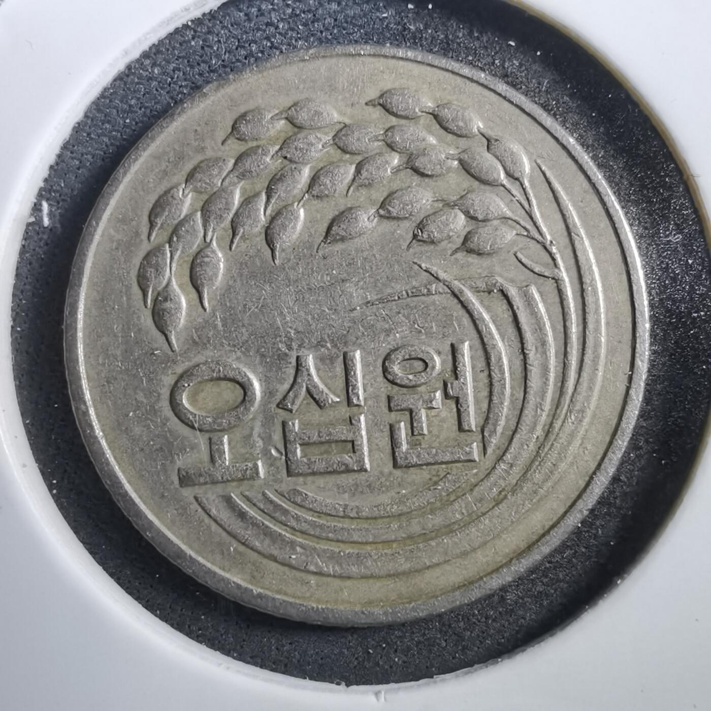 沼泽如烟--第708场