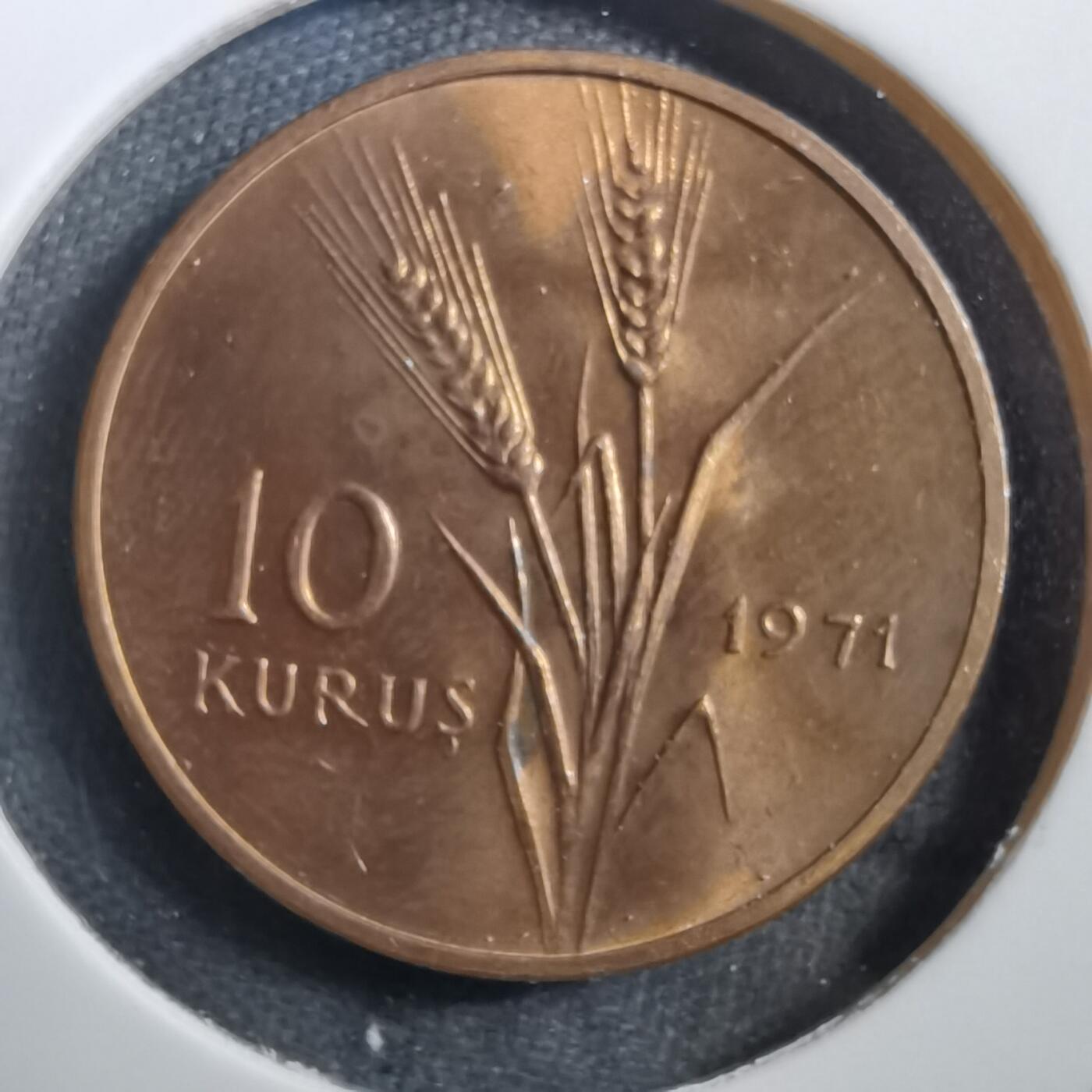 沼泽如烟--第708场