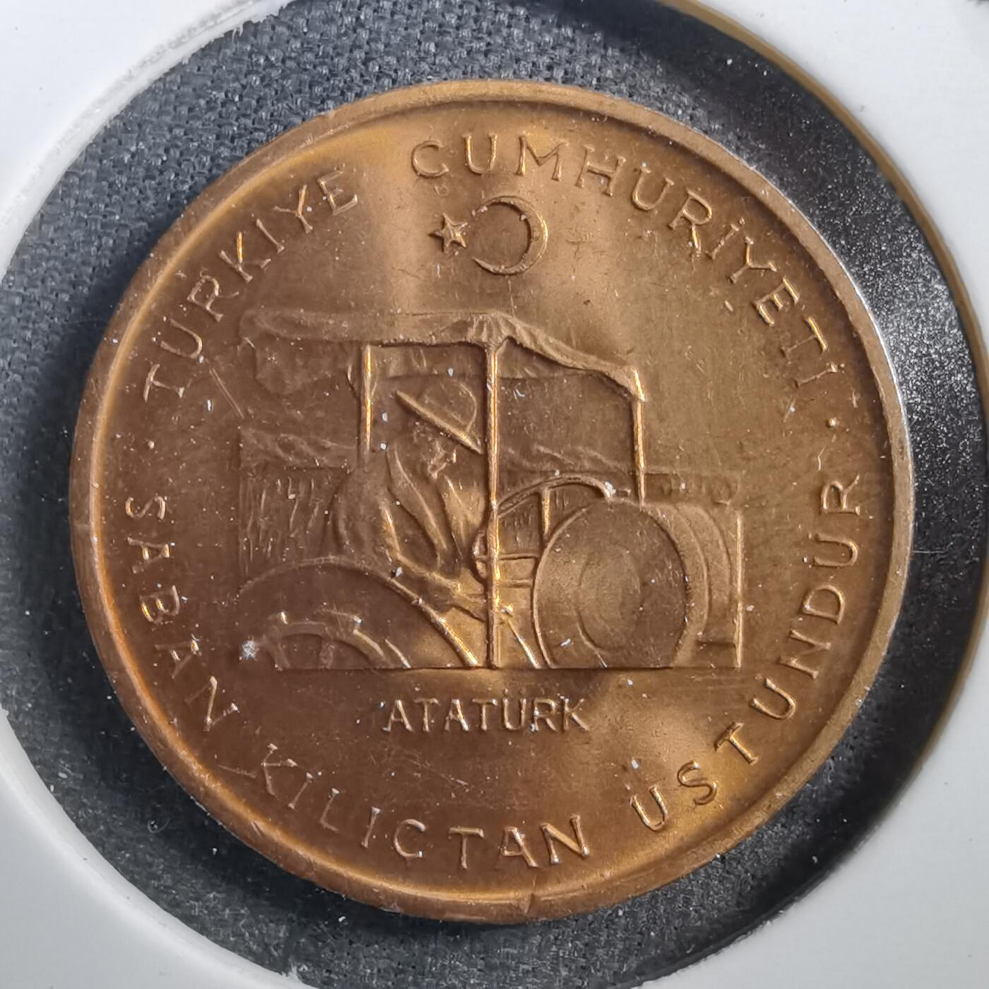 沼泽如烟--第708场