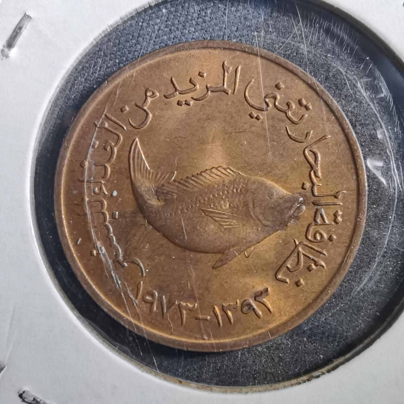 沼泽如烟--第708场