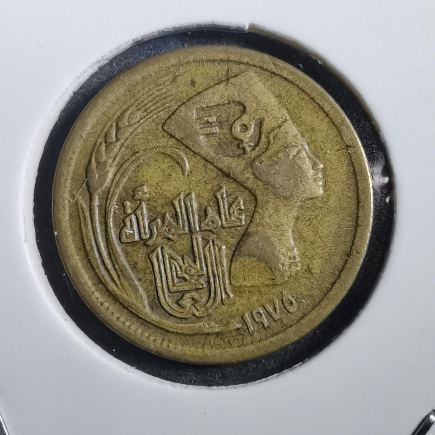 沼泽如烟--第708场