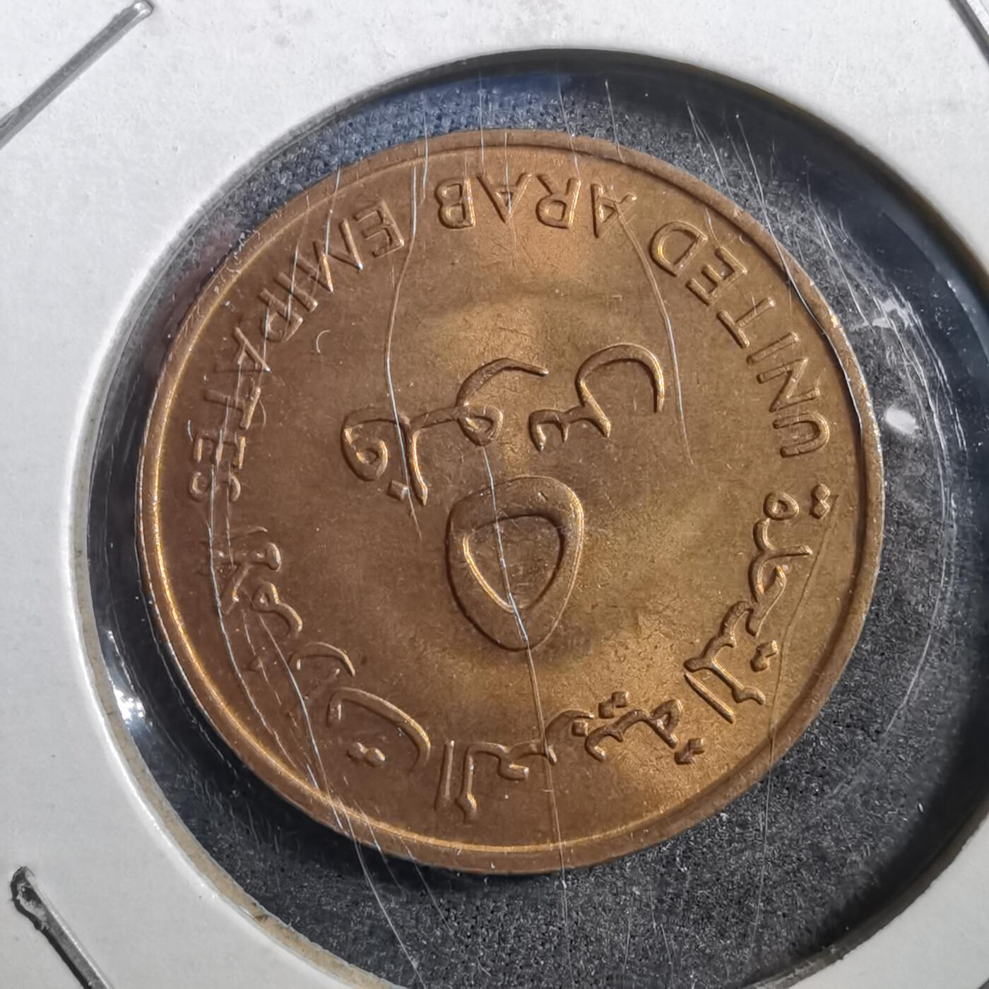 沼泽如烟--第708场