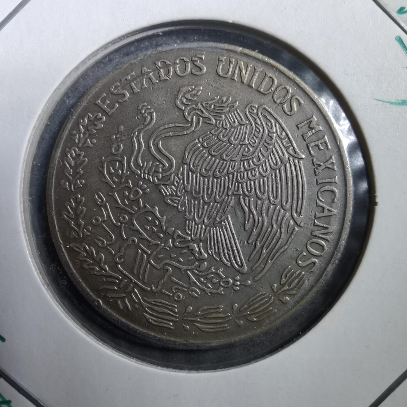 沼泽如烟--第708场