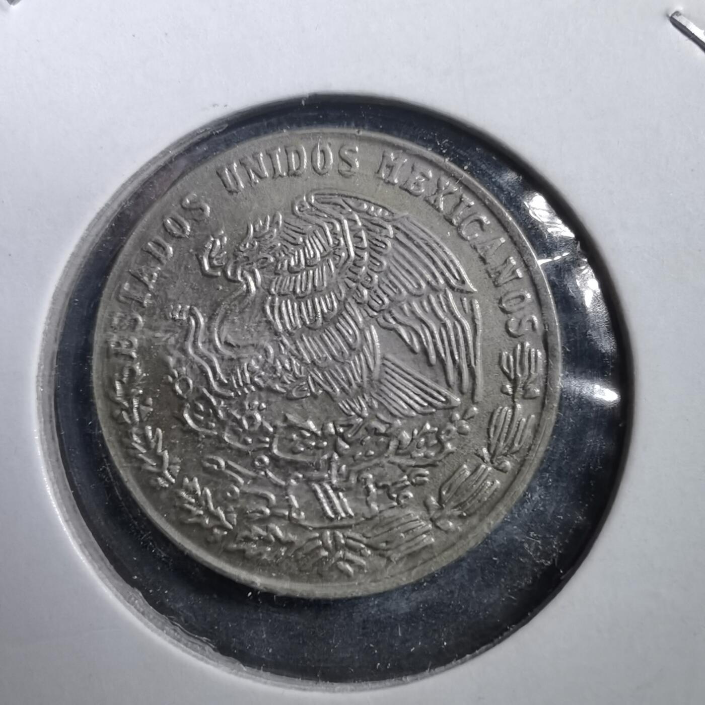 沼泽如烟--第708场