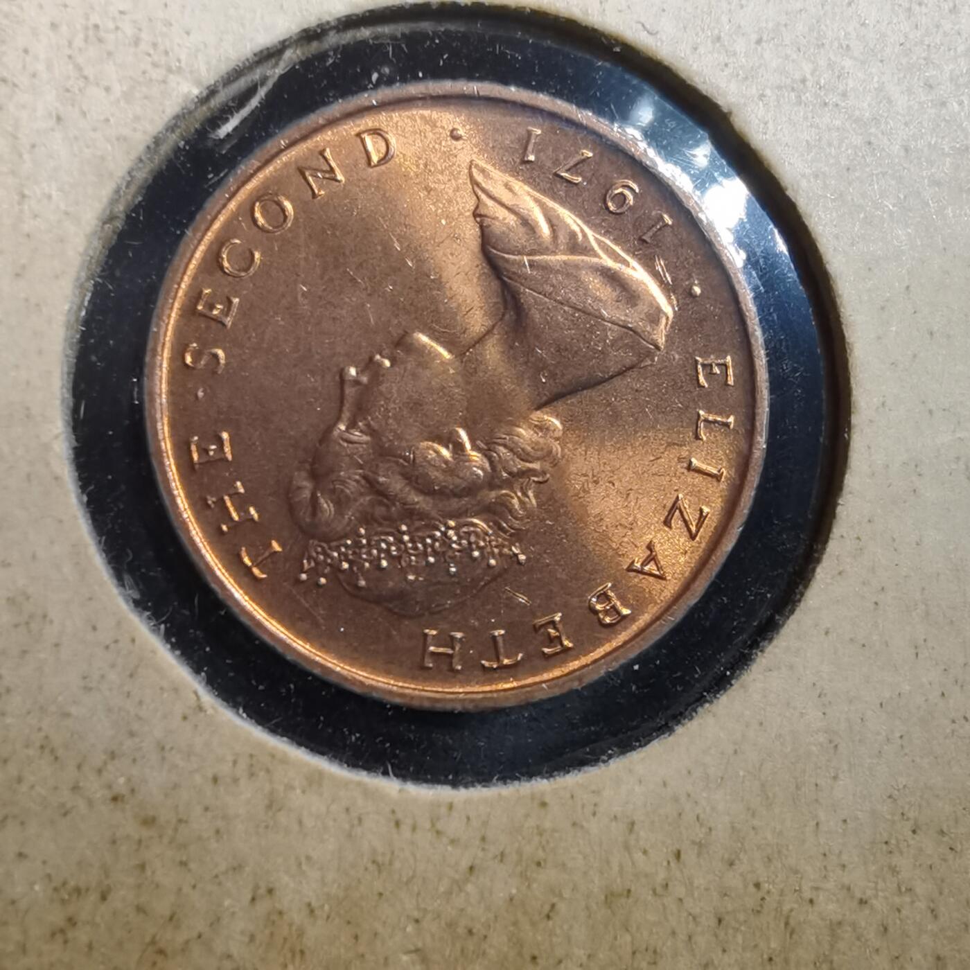 沼泽如烟--第708场