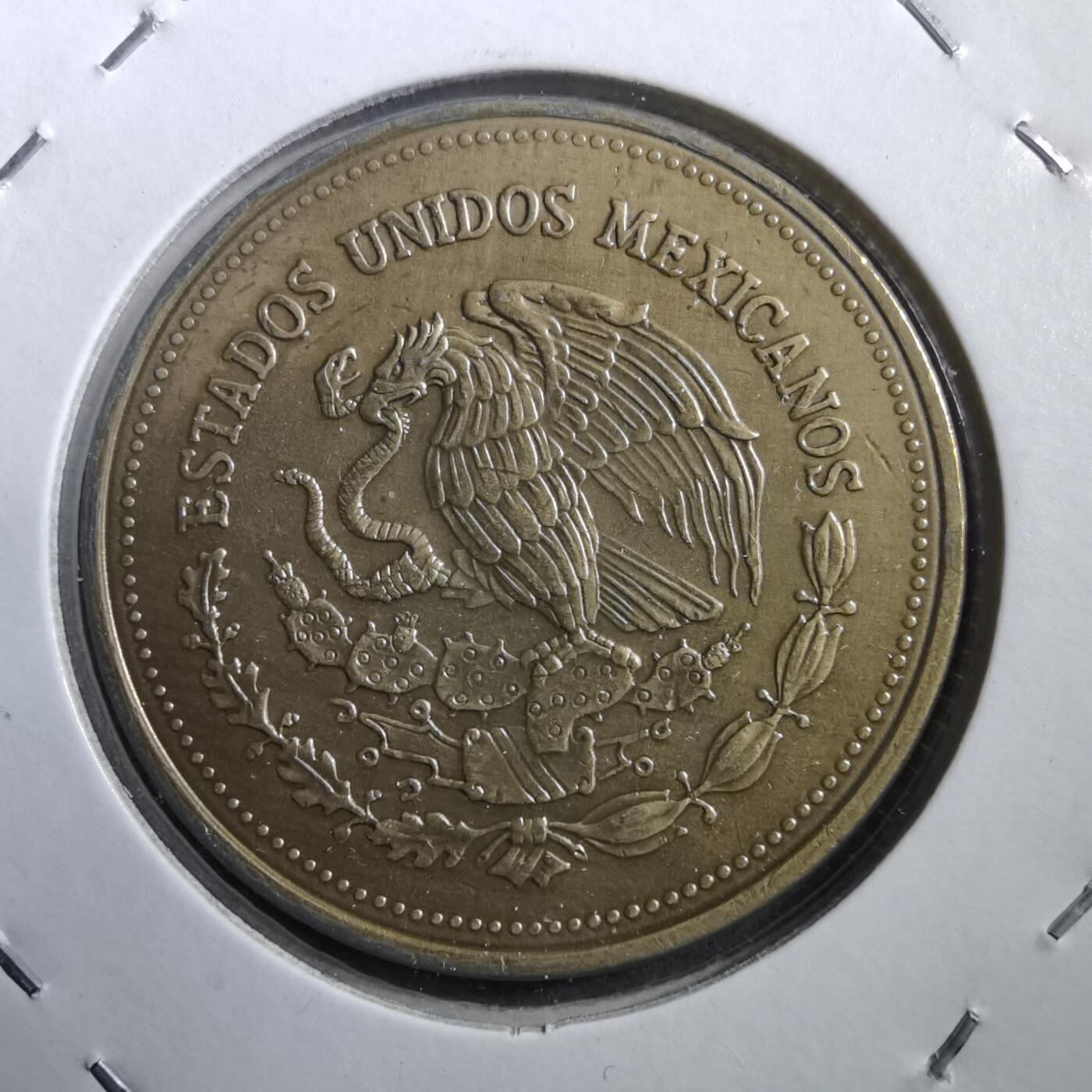 沼泽如烟--第708场