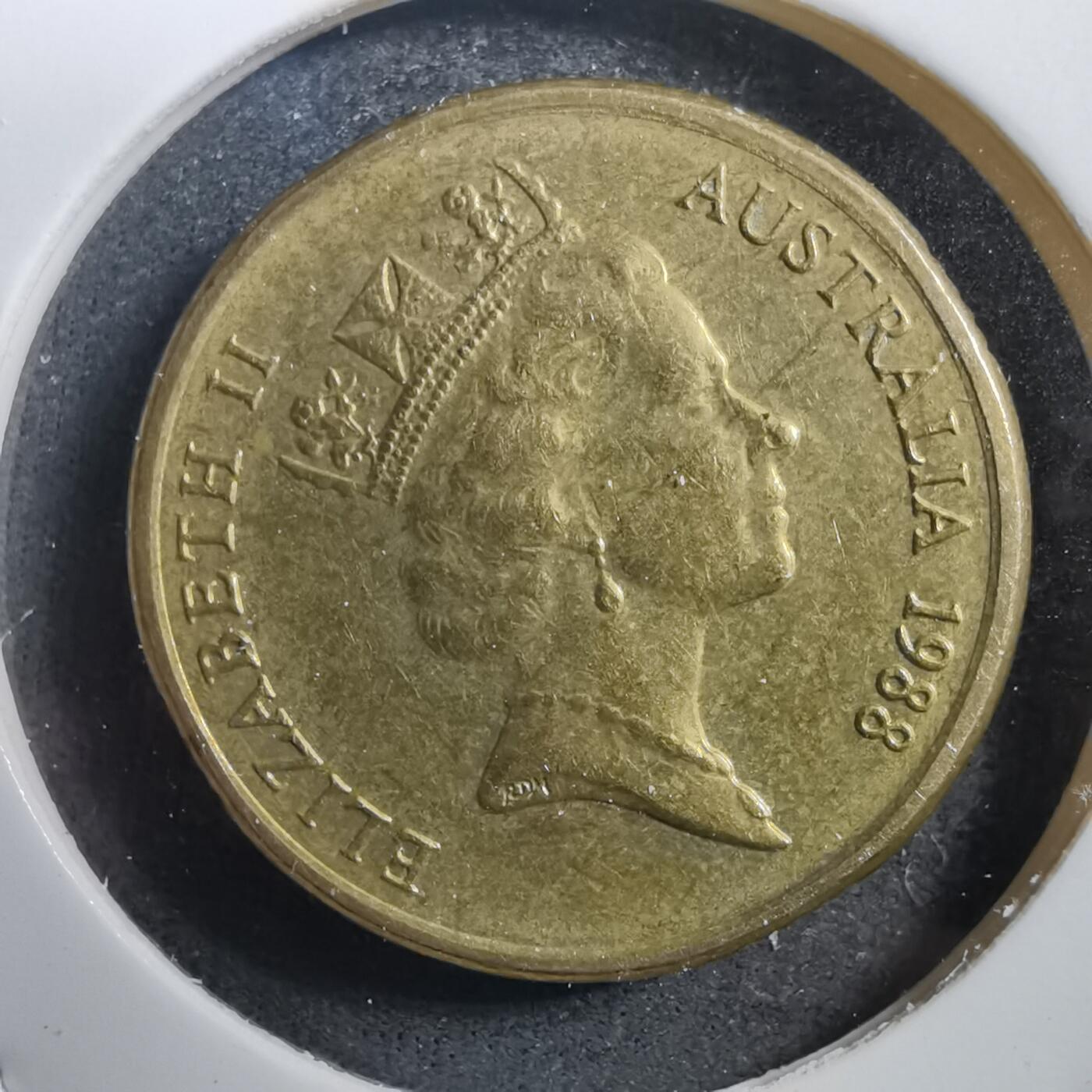 沼泽如烟--第708场