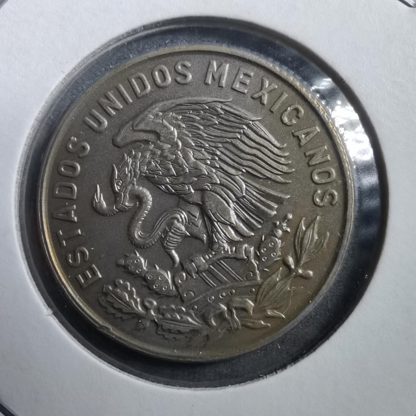 沼泽如烟--第708场