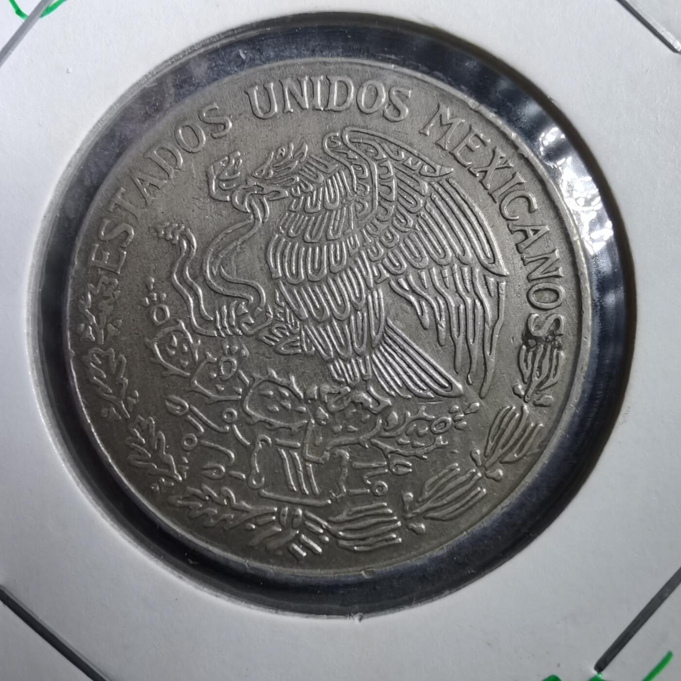 沼泽如烟--第708场