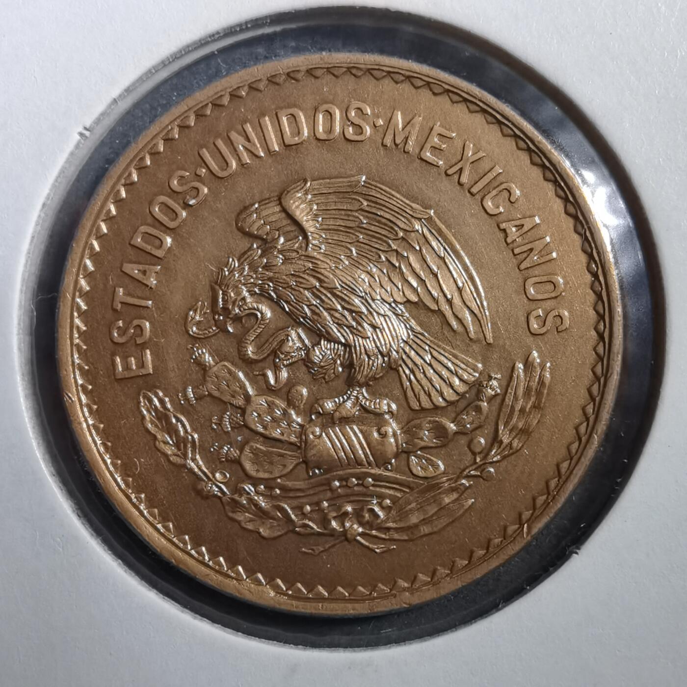 沼泽如烟--第708场