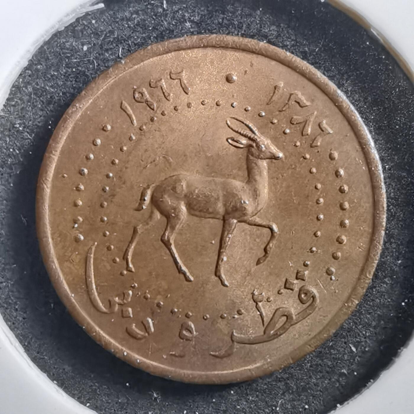 沼泽如烟--第708场