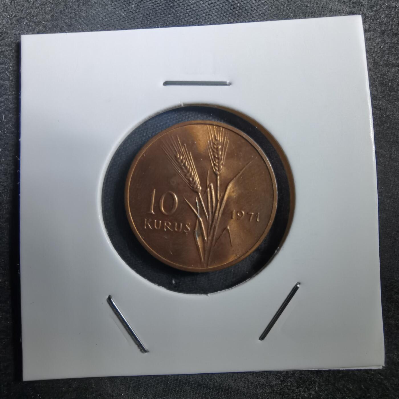 沼泽如烟--第708场